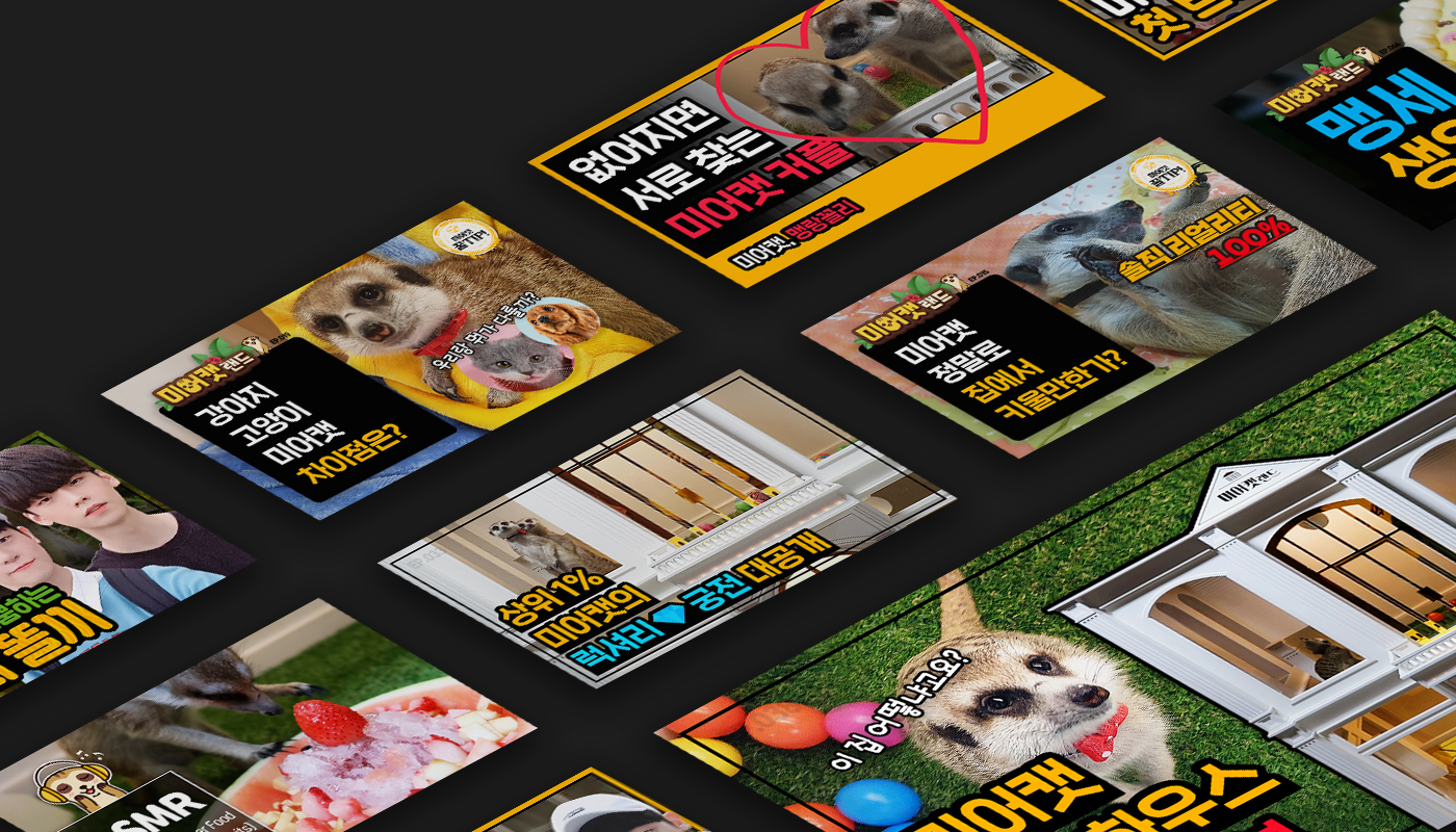 미어캣랜드 썸네일